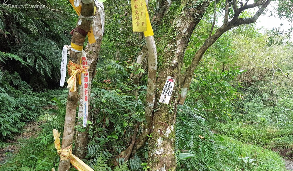 Yuemeikeng Falls