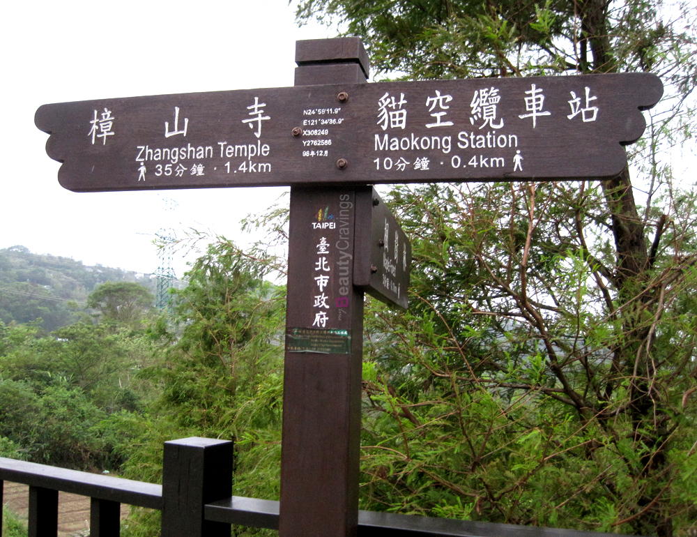 Camphor Tree Trail Taiwan