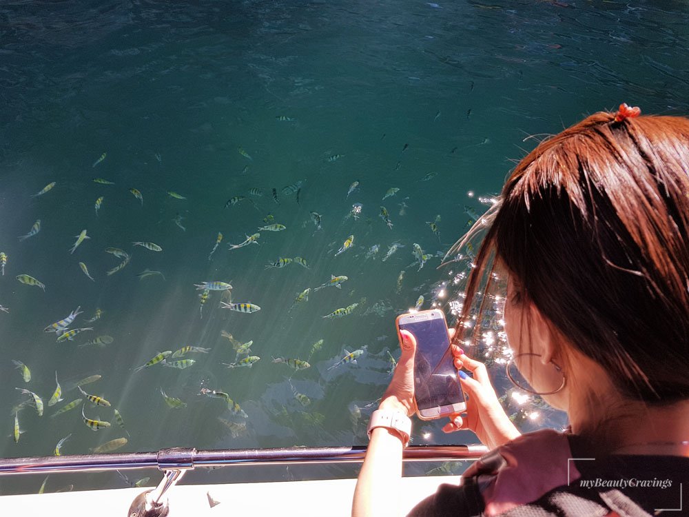 Kilim Geoforest Park Langkawi