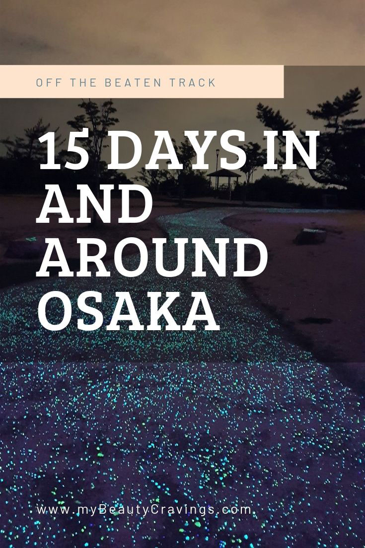 15 Days Osaka Itinerary PIN