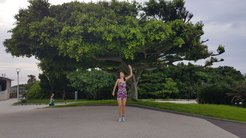 Okinawa Ocean Expo Park