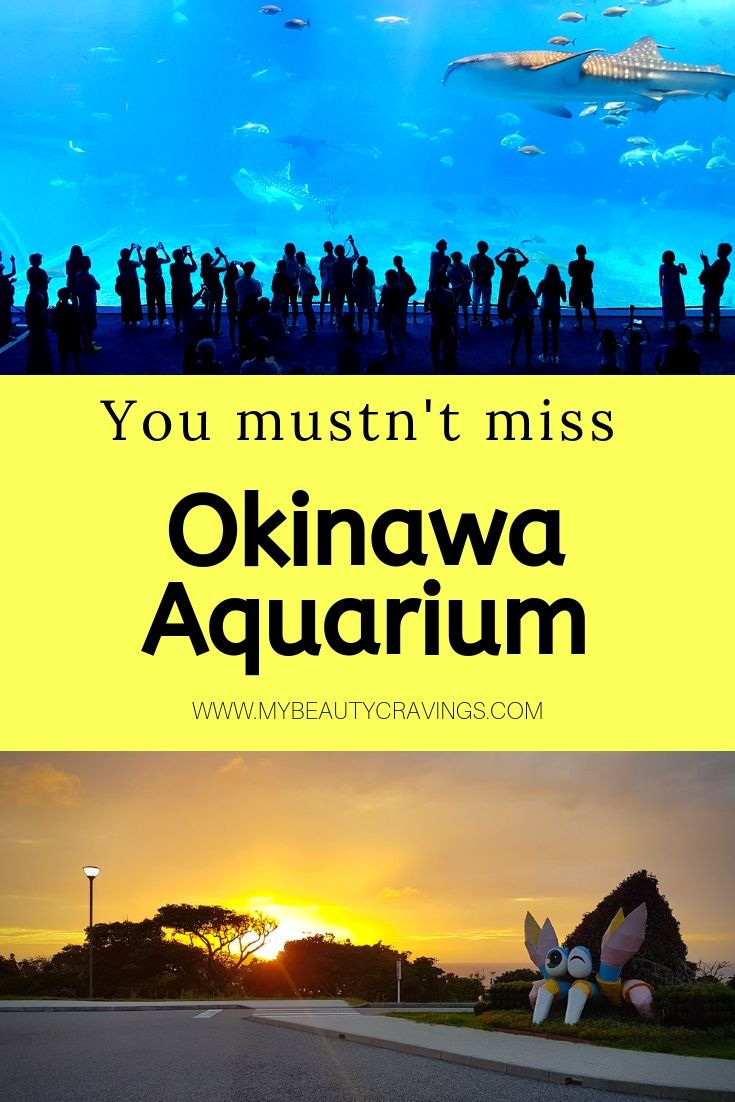 Okinawa Aquarium Ticket Price