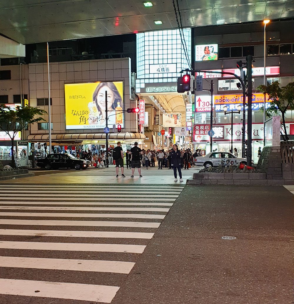 Kansai Airport Train Station