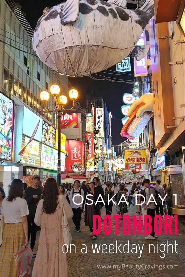 Day 1 - Dotonbori Osaka