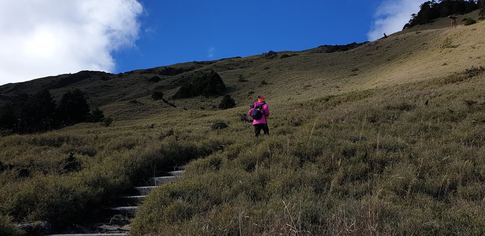 Hiking Hehuanshan East Peak