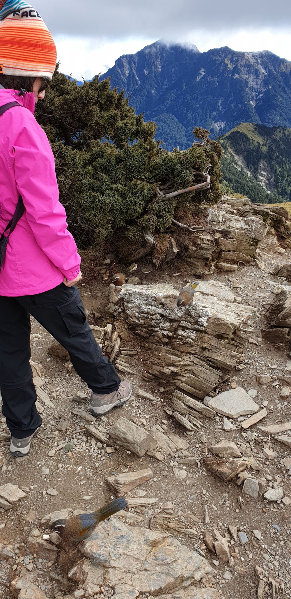 Hehuanshan East Peak Summit