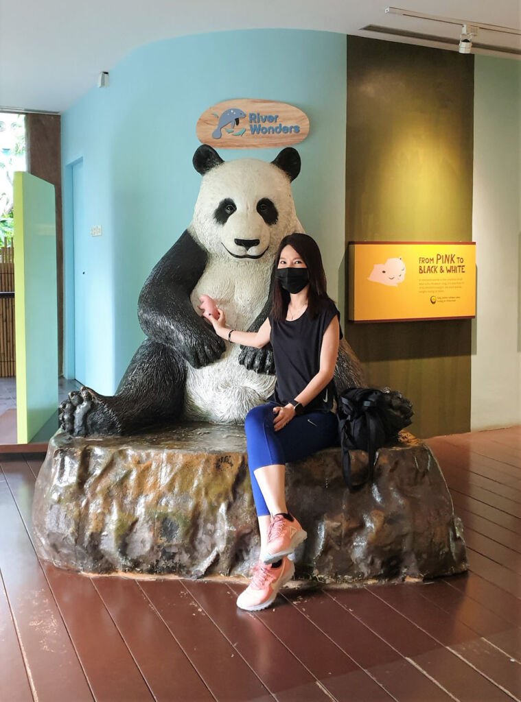 Panda Singapore baby