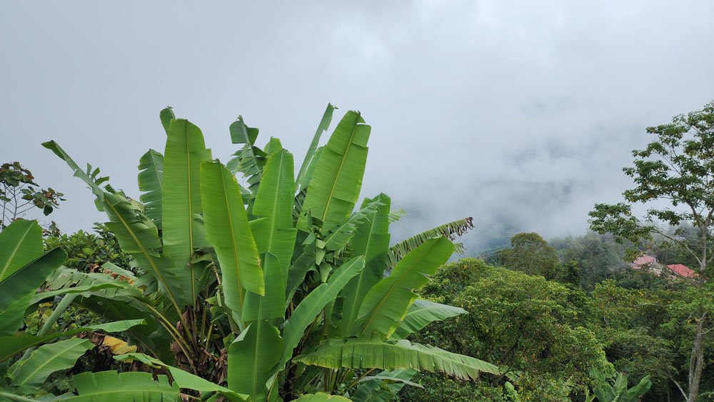 Mt Kinabalu Viewing Platform