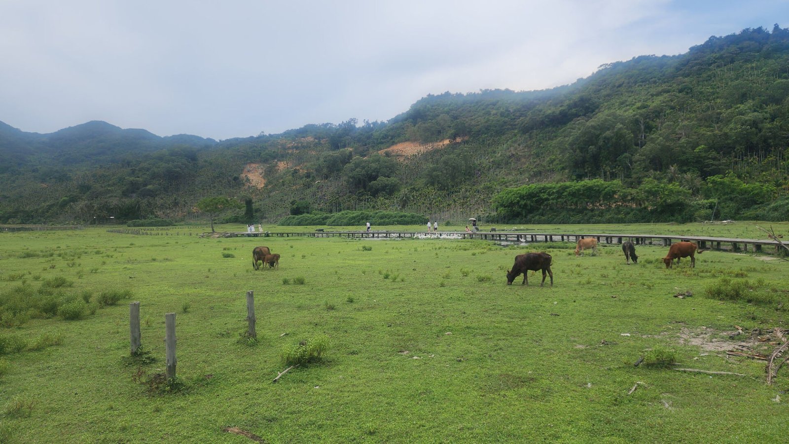 Qiao Hai Ranch (Hainan Itinerary)