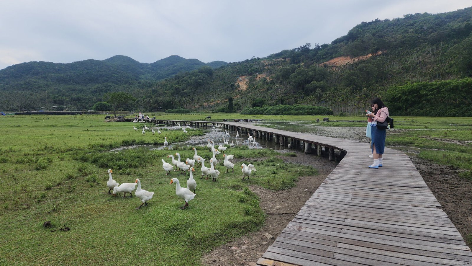 Qiao Hai Ranch (Hainan Itinerary)