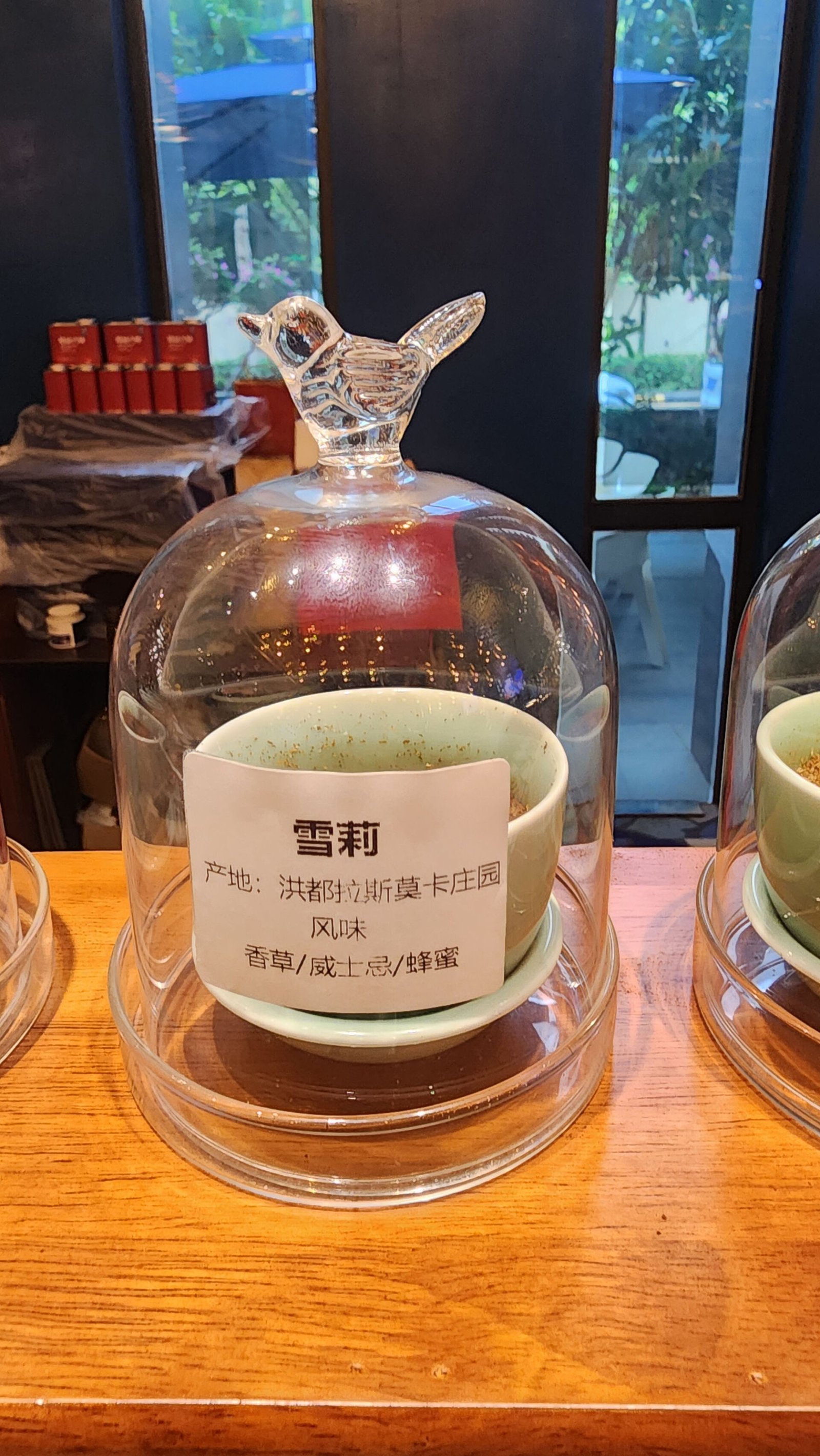 Hainan M1 Dream Coffee Factory